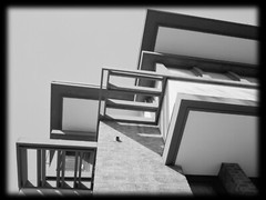Frank Lloyd Wright Prairie Home, brick, 4 bedrooms, modern house PRINTED PLANS