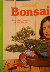6 Home & Garden Improvement Guides