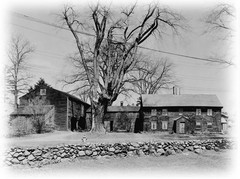 Timber frame country home, colonial farmhouse, 5+ bedrooms, printed drawings