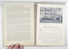 1917 3-WALLED OPEN SHED Farm Plans Specs & Materials WHITE PINE BUREAU #12 {e}