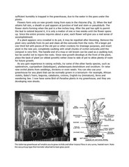 Miniature Greenhouse for Growing Orchids – Building Article + Full Plan Sheet