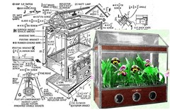 Miniature Greenhouse for Growing Orchids – Building Article + Full Plan Sheet