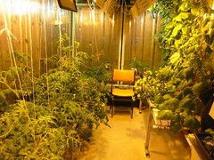 GREENHOUSE PLANS green house GARDEN hydroponics 30