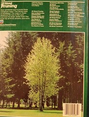 6 Home & Garden Improvement Guides
