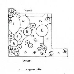 Professional Low-Maintenance Garden Design – Optimized for Small Yards