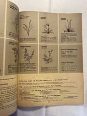 The Family Handyman 14th Edition 8 Sensible Ways to Cool Your Home Aug 1953