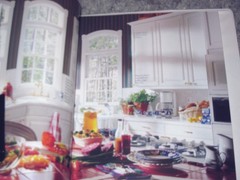 1995 Binder Book of Home Plans Featuring Andersen Windows Contractor’s Edition