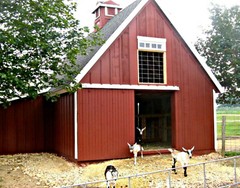 3 Small Animal Barn Plans – Complete Pole-Barn Construction Plans (B2)