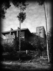 2 bedroom Freeman Home by Frank Lloyd Wright, printed architectural house plans