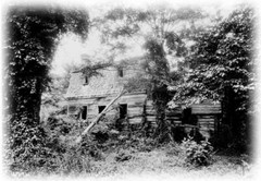 Small House Design, Colonial cottage, clapboard siding, stone, printed plans