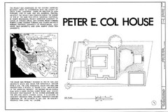 Prairie Style single story home, broad overhangs, leaded glass, printed plans