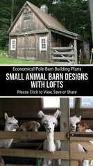 3 Small Animal Barn Designs- Complete Pole-Barn Construction Plans (B2)