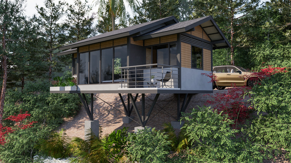 Modern Cabin House Plan 3D images DWG CAD File And PDF For Blueprint Plans