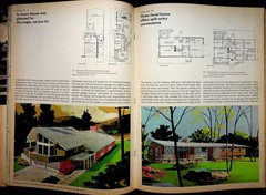 Vtg 1967 Distinguished Home Plans & Products Winter Edition (50 + Pgs.)