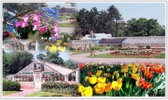 GREENHOUSE PLANS green house GARDEN hydroponics 30