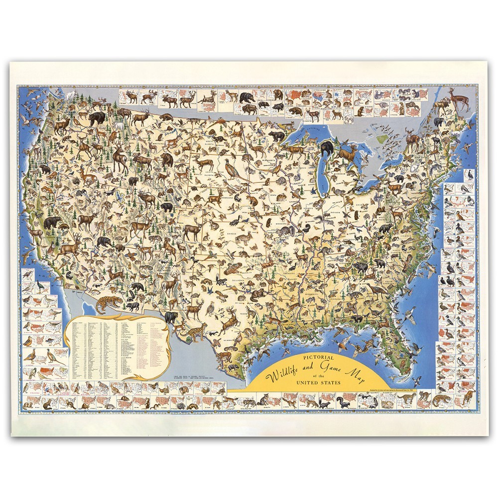 Pictorial Wildlife & Game Map of the United States Vintage Nature Print