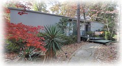 Mid-century modern home design, Lee House, architectural house plans, 4 bedrooms