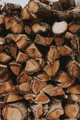 DIY Small Firewood Shed Plan – Step-by-Step Build Guide Beginer level – ft/in