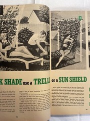 The Family Handyman 14th Edition 8 Sensible Ways to Cool Your Home Aug 1953