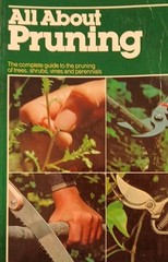 6 Home & Garden Improvement Guides