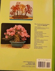 6 Home & Garden Improvement Guides