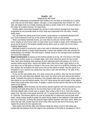 Graefin 10 Sailing Pram – Printed Plans + Article