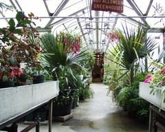 GREENHOUSE PLANS green house GARDEN hydroponics 30